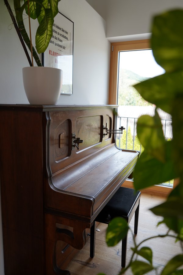 Alte Gemäuer, neues Leben